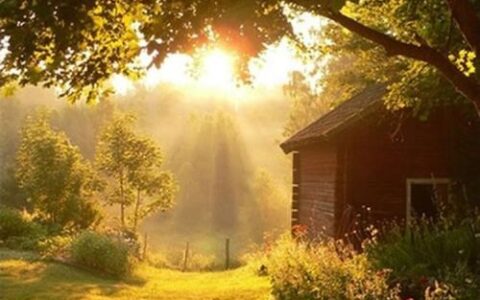 送给媳妇简单暖心的话（写给老婆最感动的暖心话）