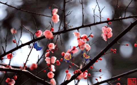 朱自清代表作有哪些（朱自清最有名的作品）