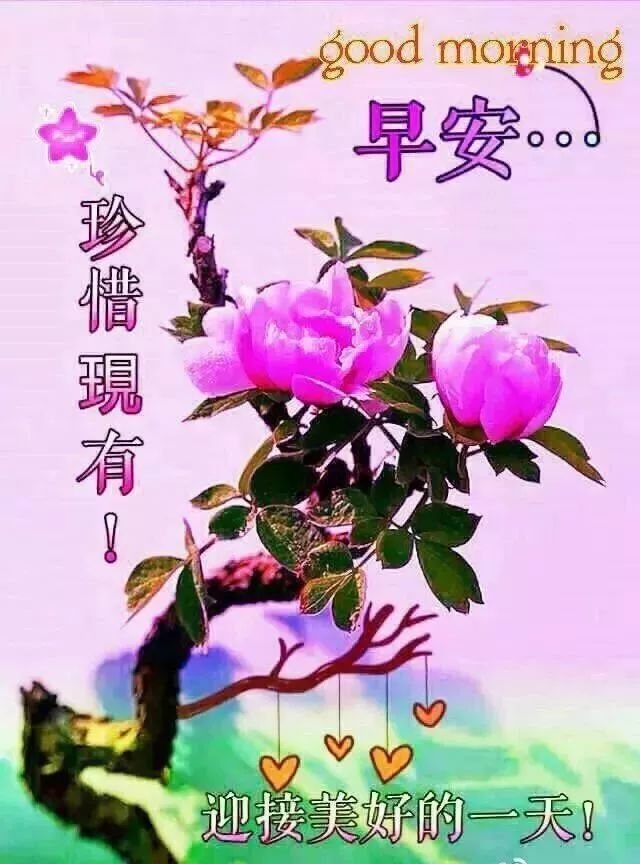 祝福别人爱情长久的话（祝福新人结婚的祝福语）