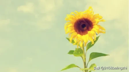 经典朗诵学会感恩（诗歌朗诵感恩父母）