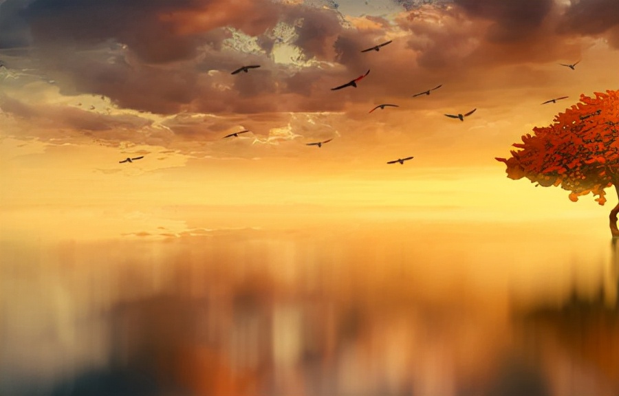 经典优美句子有那些（优美句子摘抄大全）