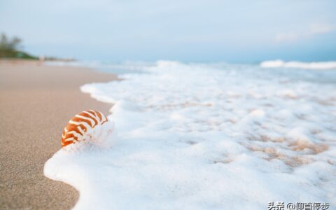 小学生现代诗摘抄短诗（现代诗摘抄四年级）