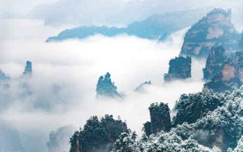 爱国的词语有哪些（热爱祖国正能量的句子）