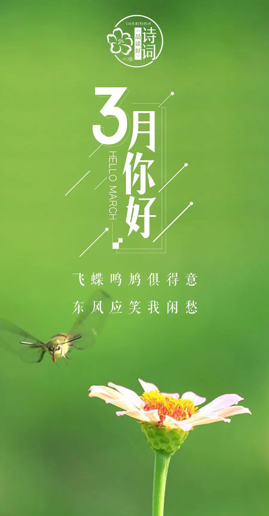 描写初春的句子唯美（关于早春的诗句赏析）