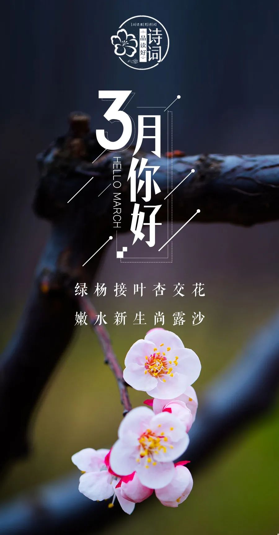 描写初春的句子唯美（关于早春的诗句赏析）