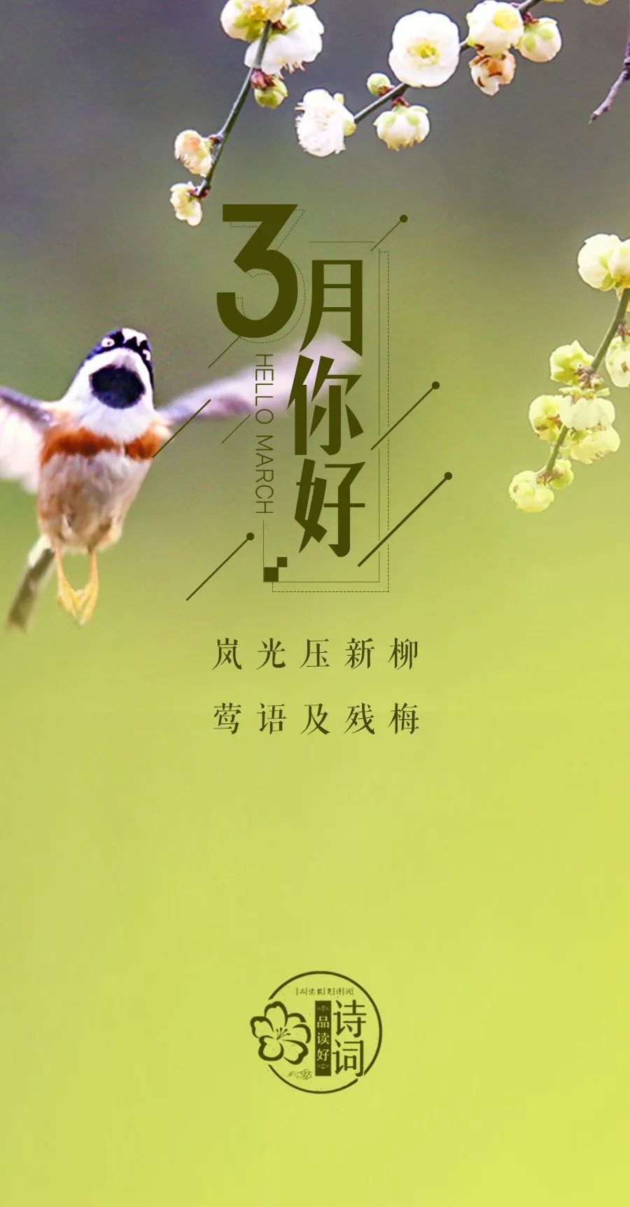 描写初春的句子唯美（关于早春的诗句赏析）