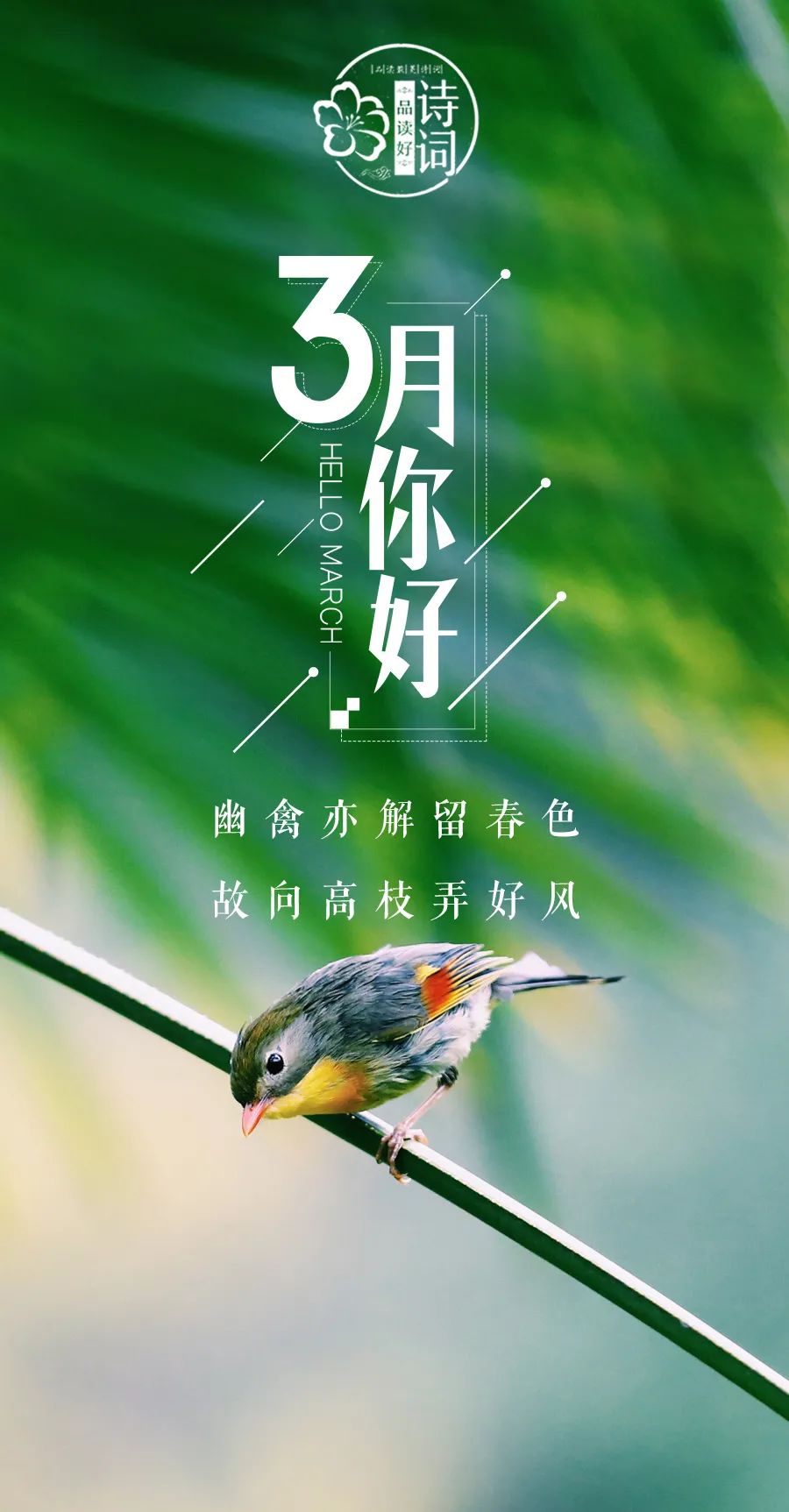 描写初春的句子唯美（关于早春的诗句赏析）
