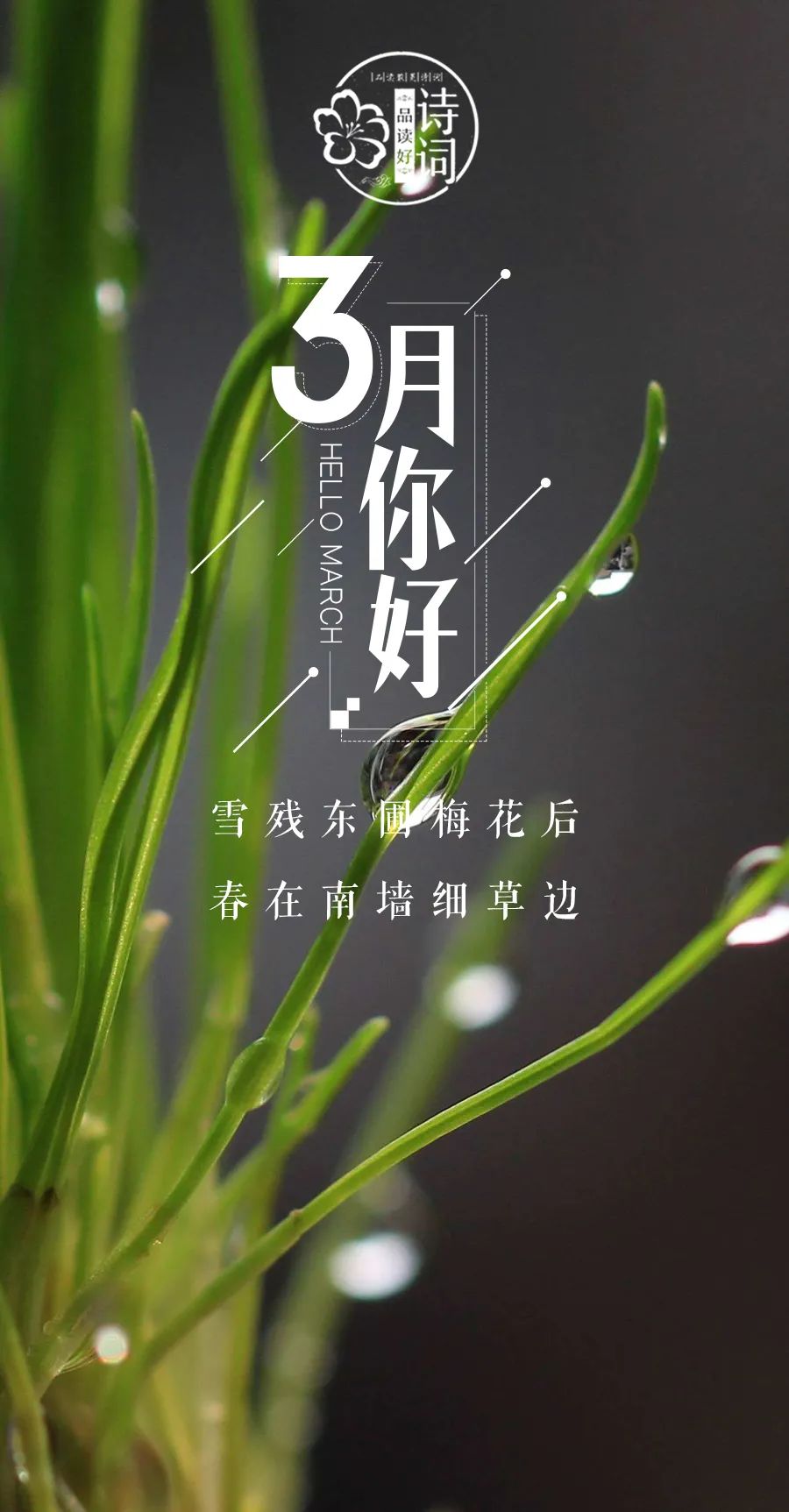 描写初春的句子唯美（关于早春的诗句赏析）
