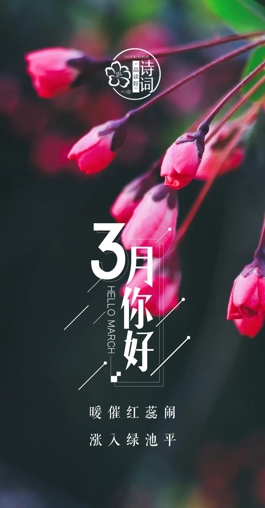 描写初春的句子唯美（关于早春的诗句赏析）