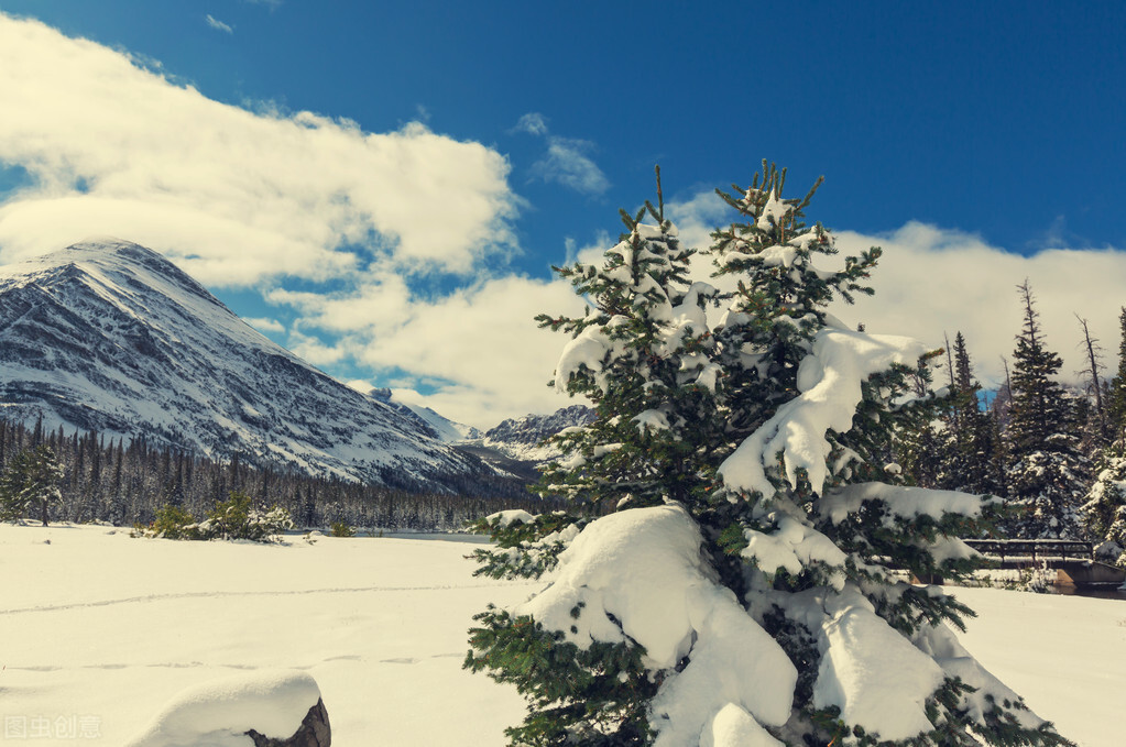 赠从弟其二原文及翻译（赠从弟其二古文内容及诗意）
