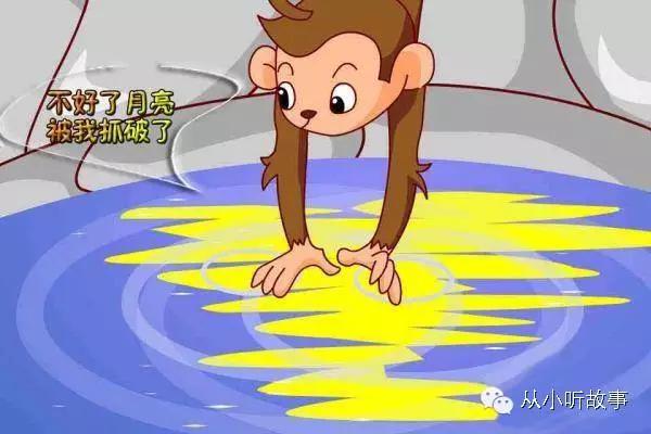 猴子捞月亮的故事寓意（猴子捞月的故事及给人的启发）