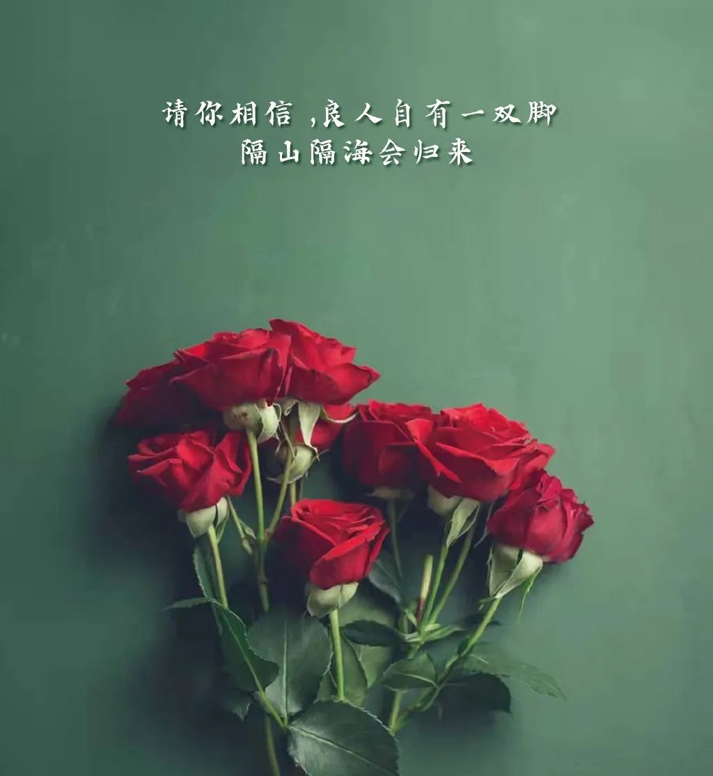 关于情人节的文案简短（情人节文案短句干净）