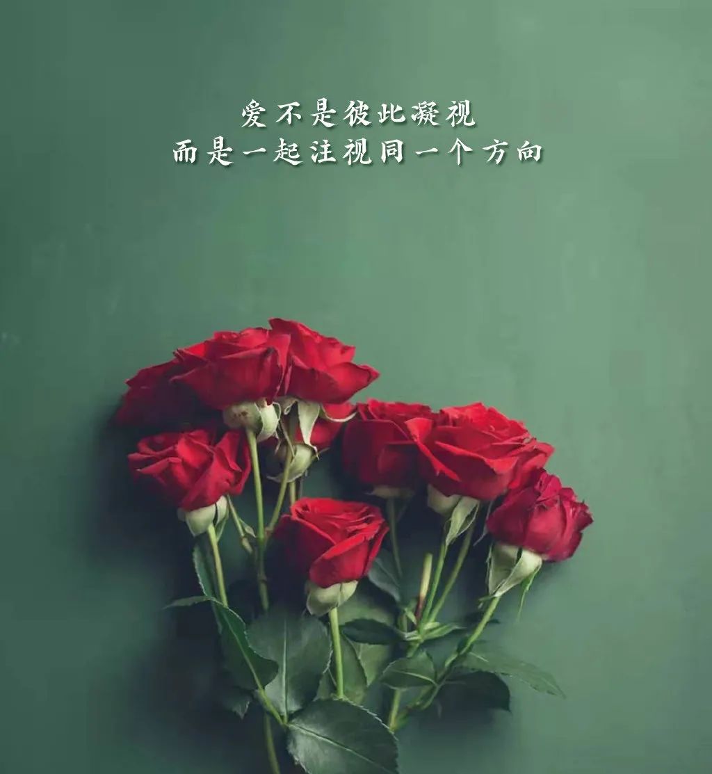 关于情人节的文案简短（情人节文案短句干净）