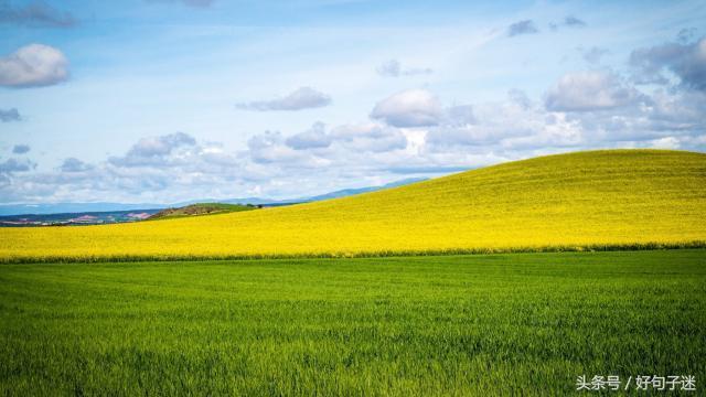 对自己有信心的句子（自信励志的句子致自己简短）