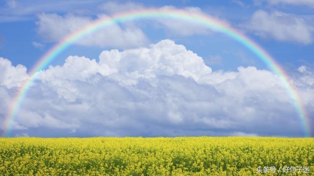 对自己有信心的句子（自信励志的句子致自己简短）