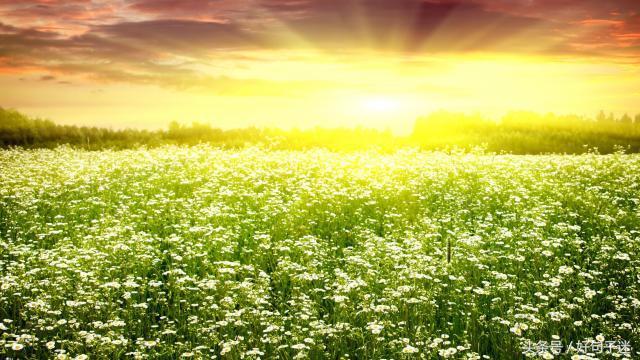 对自己有信心的句子（自信励志的句子致自己简短）