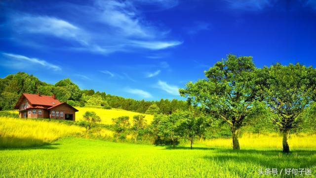 对自己有信心的句子（自信励志的句子致自己简短）