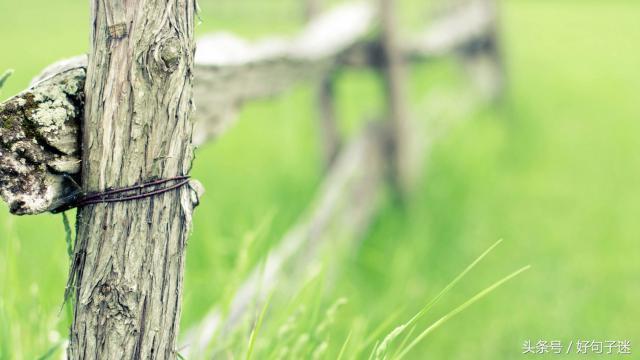 对自己有信心的句子（自信励志的句子致自己简短）