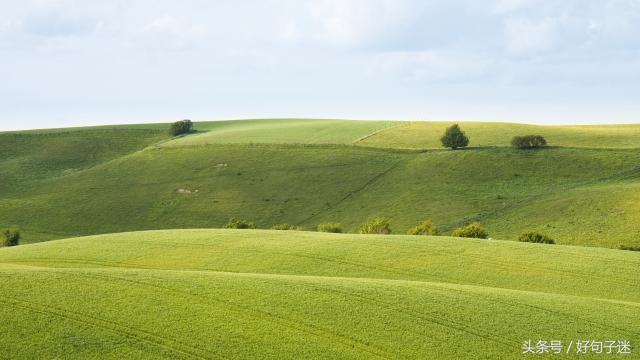 对自己有信心的句子（自信励志的句子致自己简短）