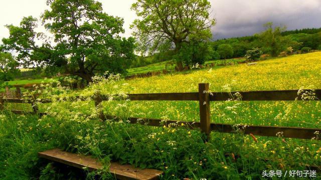 对自己有信心的句子（自信励志的句子致自己简短）