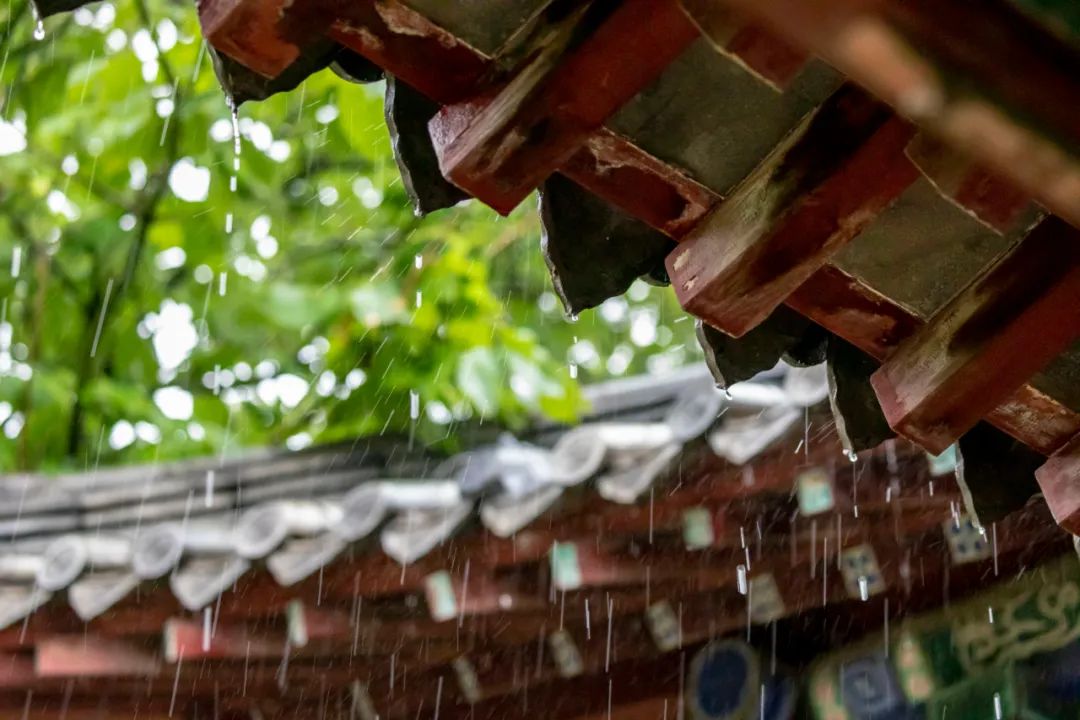 形容炎热的词语有哪些（形容天气非常炎热的词语）