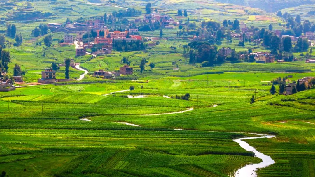 山水田园诗句有哪些（最经典的田园诗）