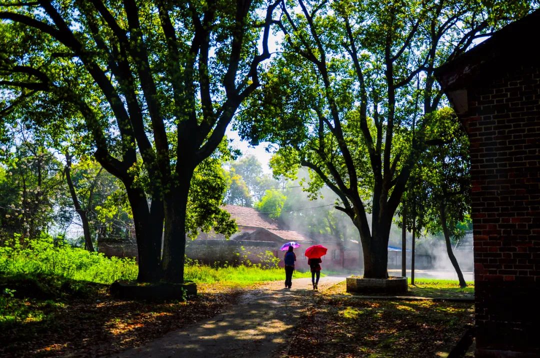 山水田园诗句有哪些（最经典的田园诗）