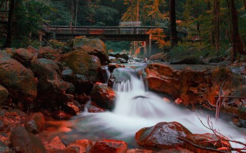 谏太宗十思疏原文是什么（谏太宗十思疏原文翻译）