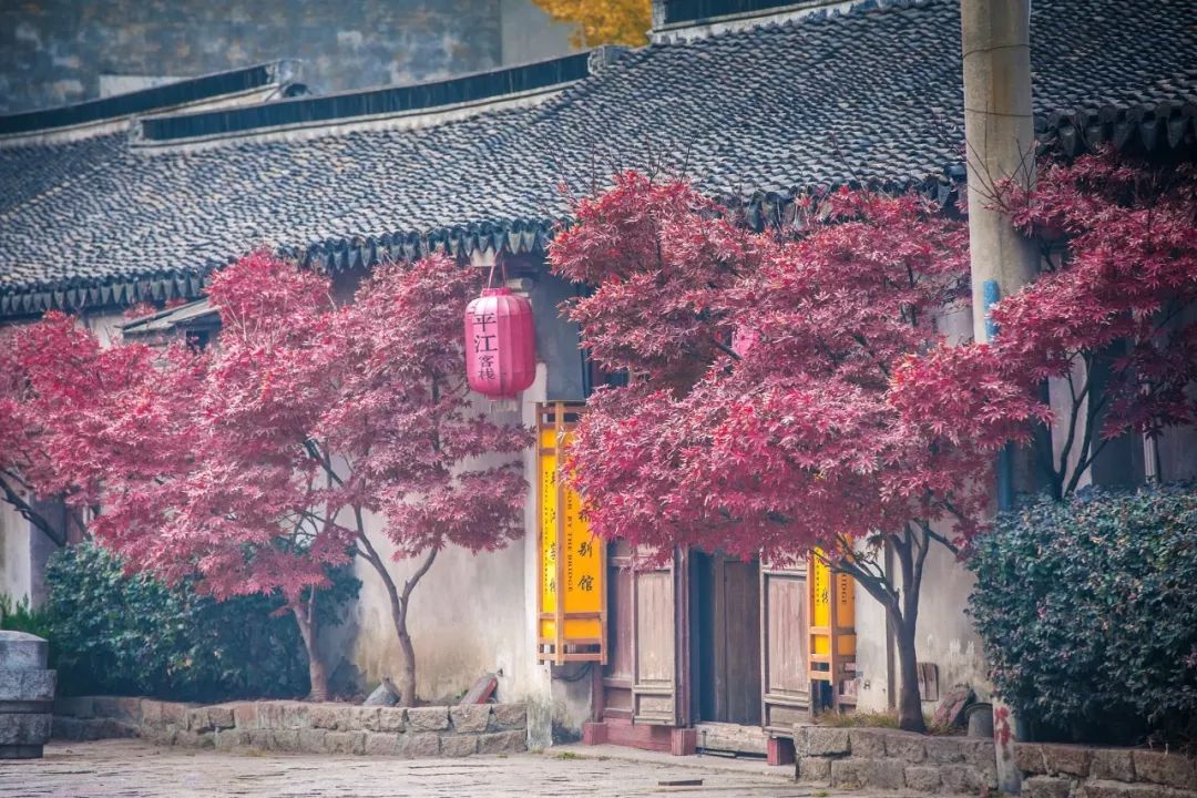 表达不舍离别的诗句（最好的告别经典句子）