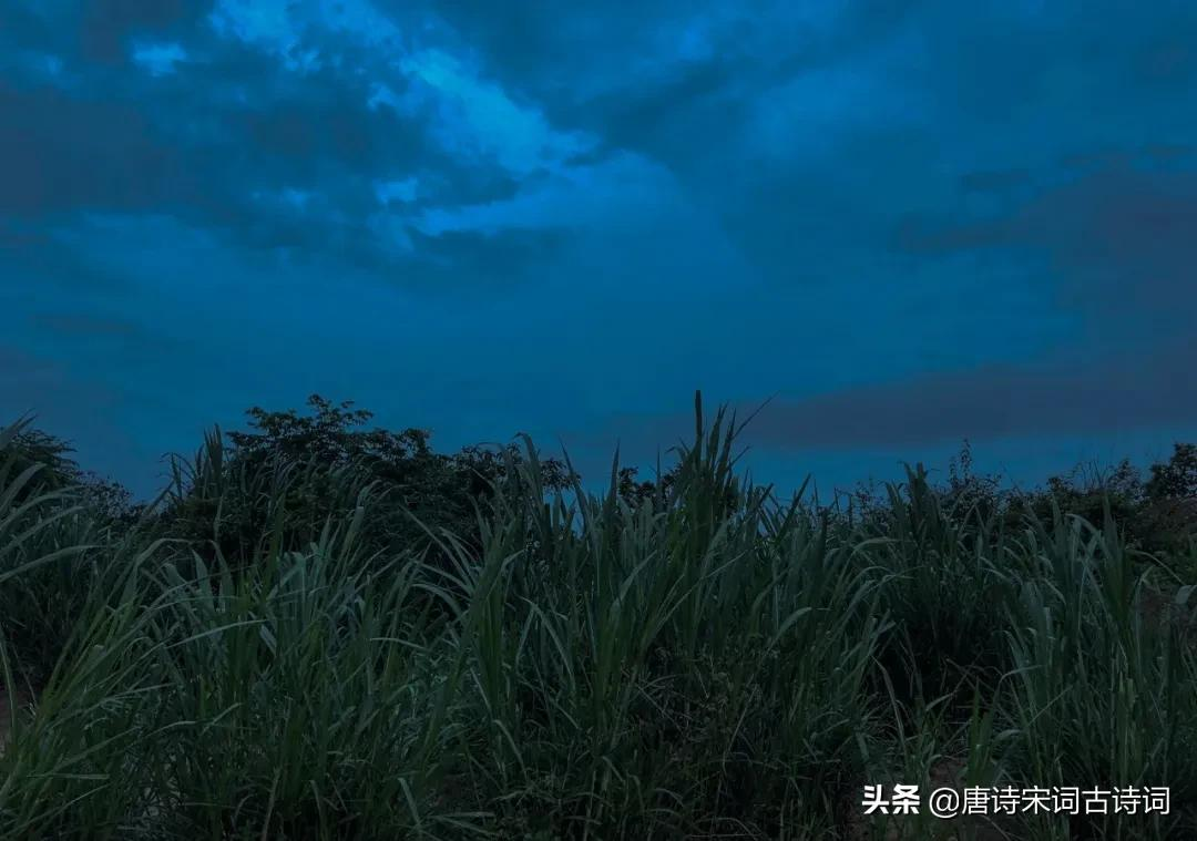 写给老婆的情话短句（给老婆表白情话短句）
