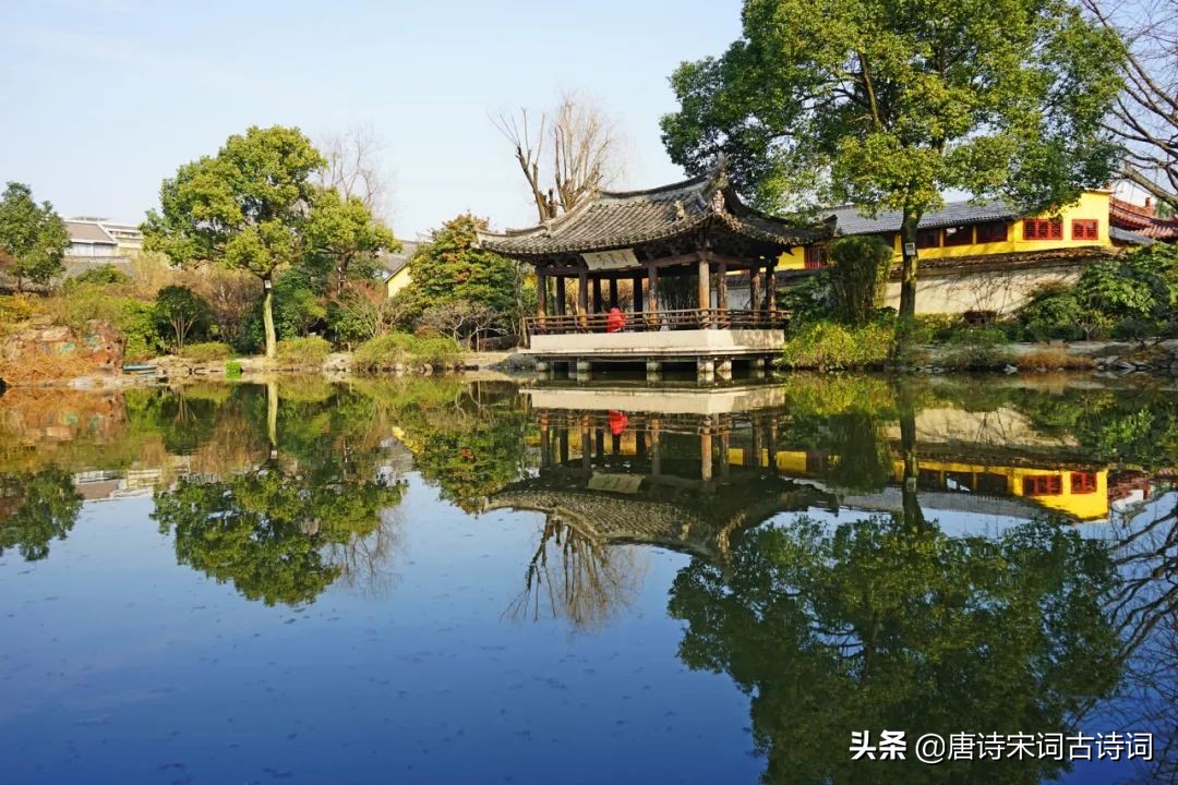 写给老婆的情话短句（给老婆表白情话短句）