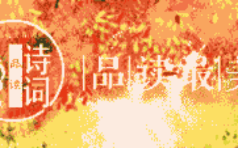 赞美野花的优美句子（描写路边的野花的句子分享）