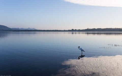 形容时光流逝的诗句唯美（感叹时光匆匆的古诗）