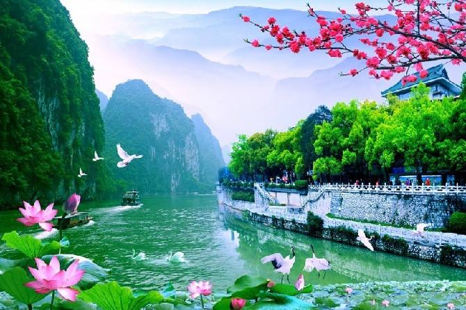 不字开头的成语有哪些（不字开头的四个字词语）
