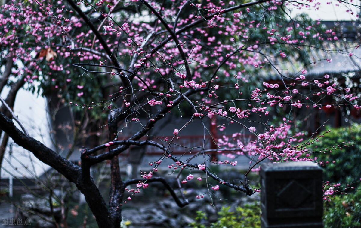 陆游钗头凤红酥手赏析（陆游唐婉钗头凤原文）