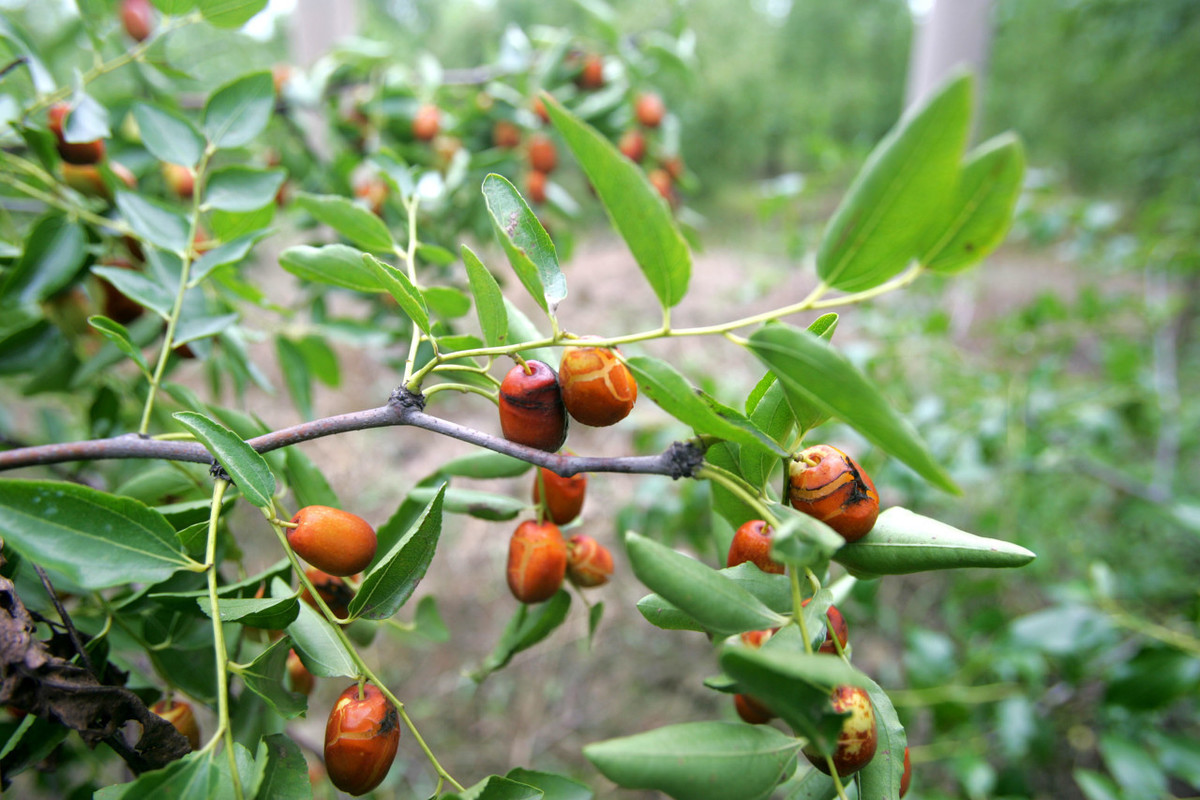 家训小故事大全（关于家训最经典的3个故事）