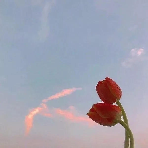 简短正能量签名语句（致自己的经典成长语录）