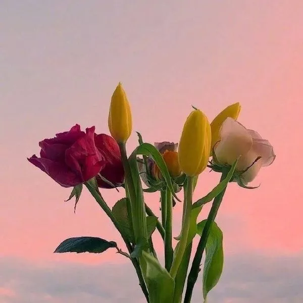 简短正能量签名语句（致自己的经典成长语录）