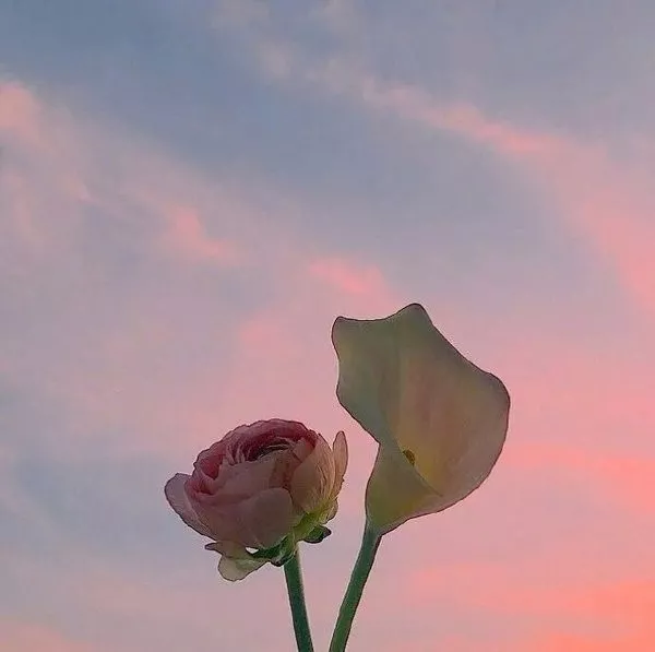 简短正能量签名语句（致自己的经典成长语录）