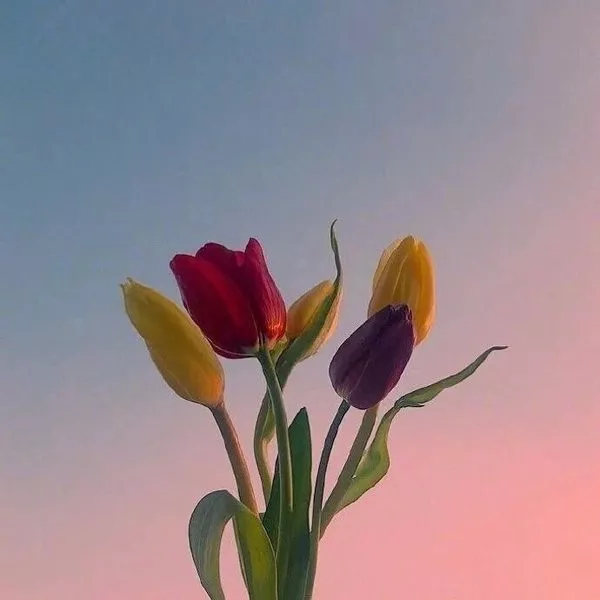 简短正能量签名语句（致自己的经典成长语录）