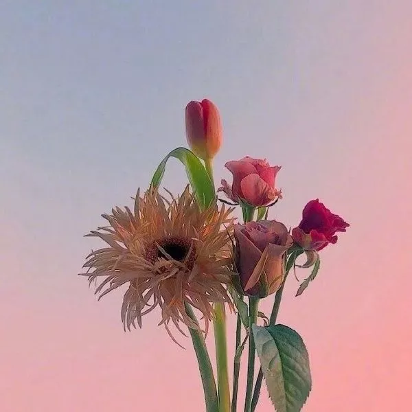 简短正能量签名语句（致自己的经典成长语录）