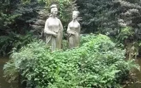 程氏爱鸟文言文翻译（程氏爱鸟文言文翻译和答案）