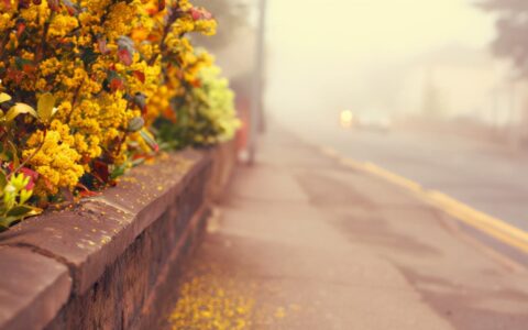 励志人生格言经典短句（充满正能量的人生格言）