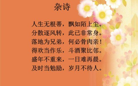 陶渊明杂诗赏析（田园杂诗陶渊明分享）