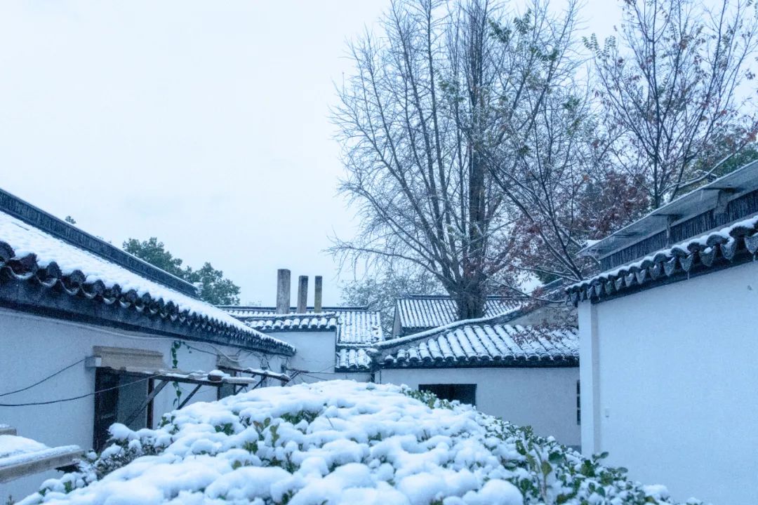 描写冬天景色的优美短句（关于冬天的唯美诗句）
