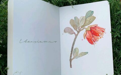 早安爆笑短句十个字（很幽默很皮的早安句子）