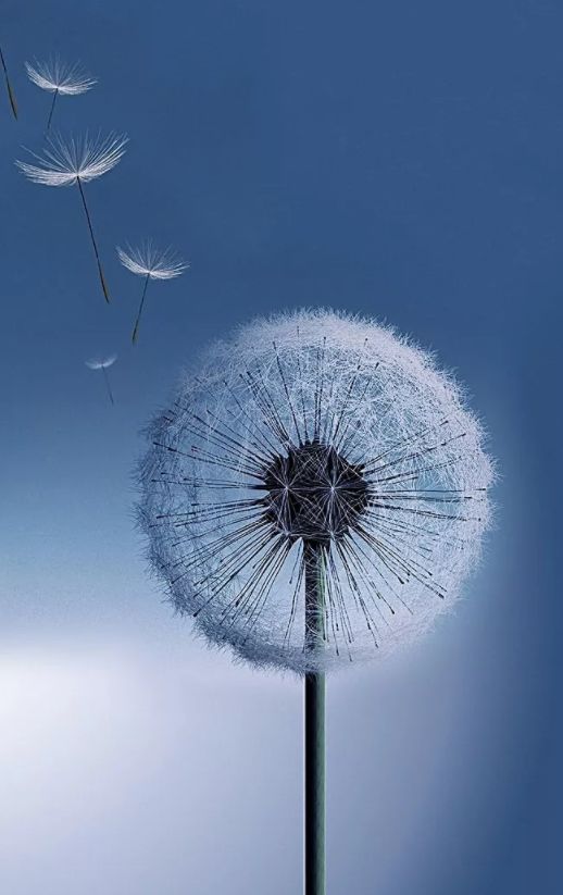 富有诗意的小标题致青春（关于时光诗意的小标题）