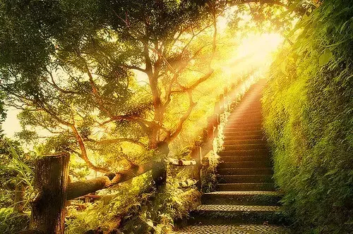 北岛的诗经典句子（北岛最经典的十首短诗）