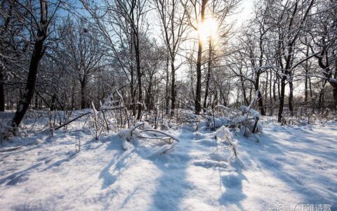问刘十九白居易古诗（问刘十九古诗赏析）