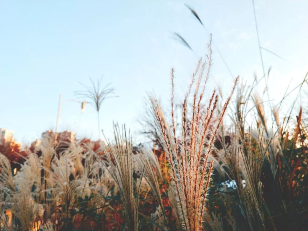 形容离别的诗句唯美（催人泪下的离别诗词）